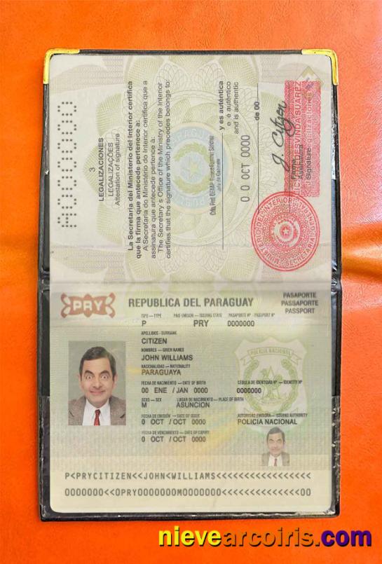 Paraguay passport photolook